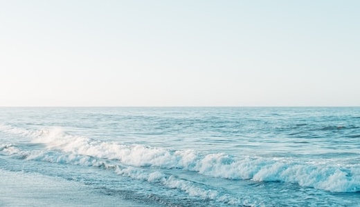 速水もこみちの国籍は？本名やクォーター説・実家や生い立ちまで解説！