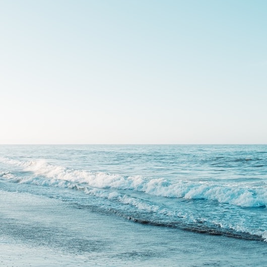 速水もこみちの国籍は？本名やクォーター説・実家や生い立ちまで解説！