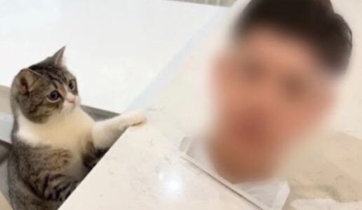 もちまる日記の飼い主は結婚している？彼女や真相を徹底解説！