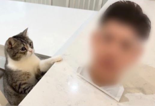 もちまる日記の飼い主は結婚している？彼女や真相を徹底解説！